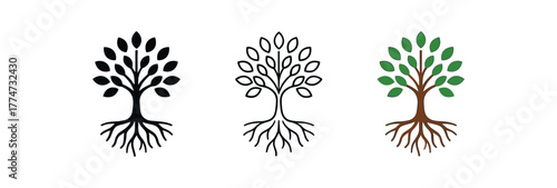 tree of knowledge roots branches icon on white background Black silhouette flat icon outline icon and colored icon style three minimal vector icon style