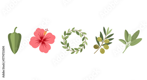 Flat Design Elements Green Pepper Pink Hibiscus Wreath Olives Sage.