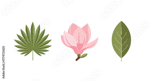 Flat design botanical elements green palm leaf pink magnolia flower and simple green leaf illustration.