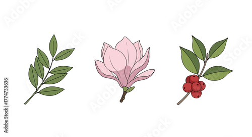 Handdrawn botanical collection of a green leafy sprig a blooming pink magnolia and a branch with vibrant red berries.