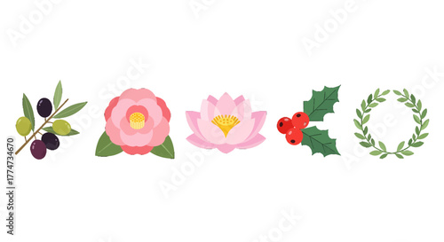 Olive Branch with Green and Purple Olives Vector Illustration Isolated.