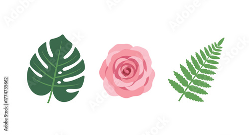 Stylized tropical monstera leaf delicate pink rose bloom and vibrant green fern frond vector set.