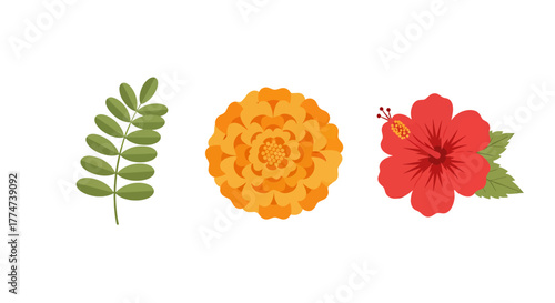 Set of three colorful flat vector botanical illustrations a green leaf an orange marigold and a red hibiscus flower.