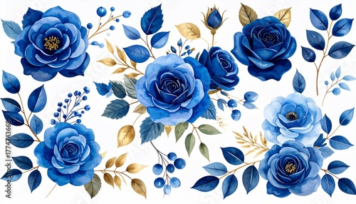 Watercolor Blue Roses Floral Arrangement with Gold Accents with White Background.