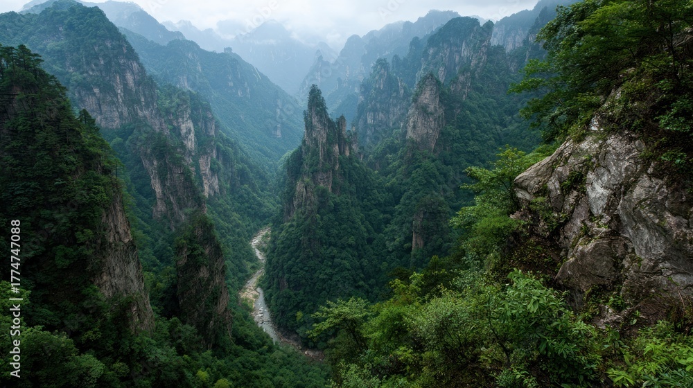 Obraz premium Verdant Sandstone Spires Pierce the Mist in a Chinese Mountain Valley