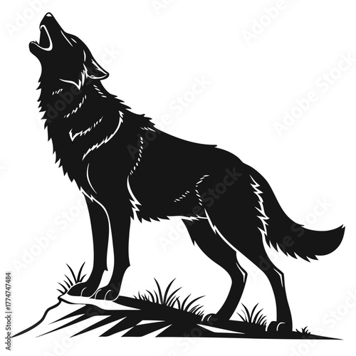 wolf vector illustration
