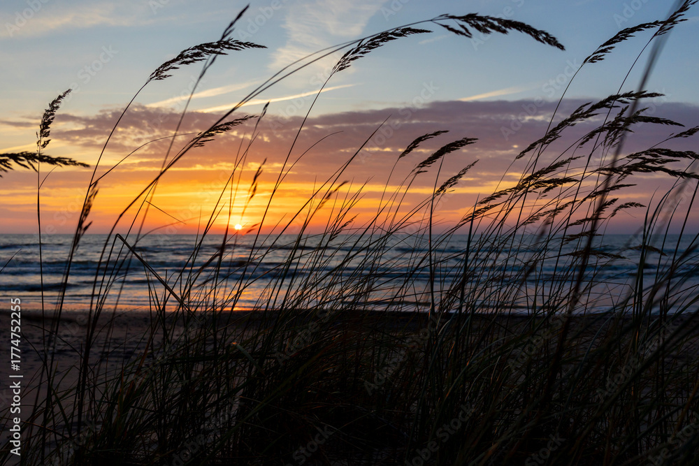 Fototapeta premium A beautiful sunset silhouette scene with grasses growing on the beach of Baltic Sea. Summer evening in Latvia, Europe.