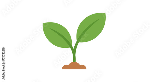 A simple illustration of a young plant with two green leaves growing from the soil.