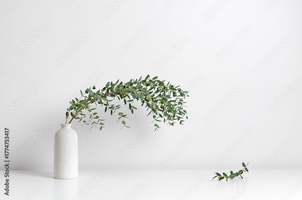 Fototapeta premium Elegant white vase with a long, arching green branch of eucalyptus, set against a minimalist background, creating a serene and modern home decor atmosphere