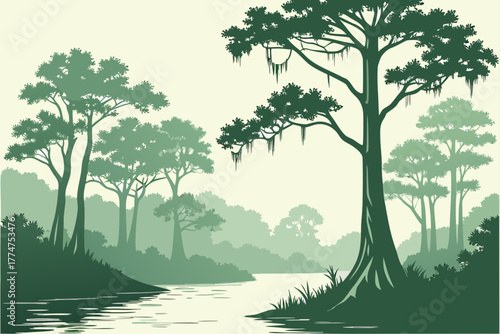 Cypress trees along the Suwannee River, Florida.