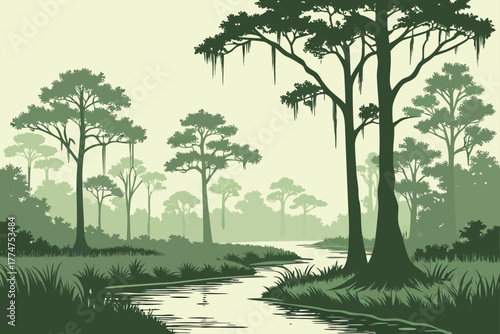 Cypress trees and reflections in Louisiana bayou