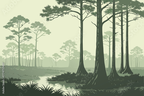 Cypress trees in Everglades National Park Florida