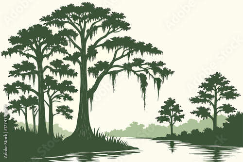 Cypress trees along bayou waters in Louisiana.