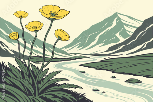Clusters of Arctic poppies near glacial river in Wrangell-St Elias Alaska