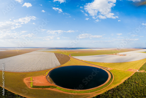 Lavoura de Algodão