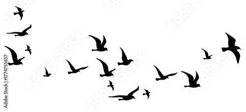Wallpaper Mural Flying bird silhouettes on white background Torontodigital.ca