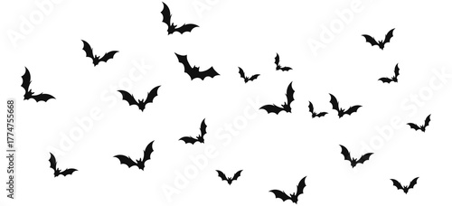 Obraz na płótnie Bats silhouette flying