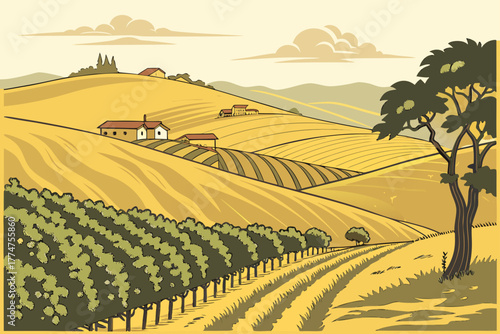 Golden hills and vineyards near Sonoma California