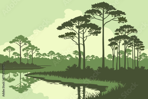 Cypress trees reflected in calm water in the Florida Panhandle.