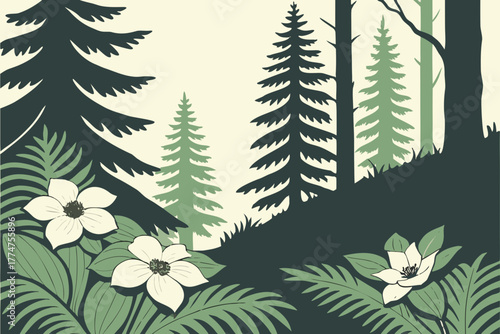 Dogwood flowers and ferns under spruce canopy near Sitka Alaska