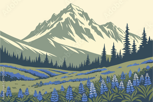 Meadow of blue forget-me-nots beneath Mount Denali Alaska
