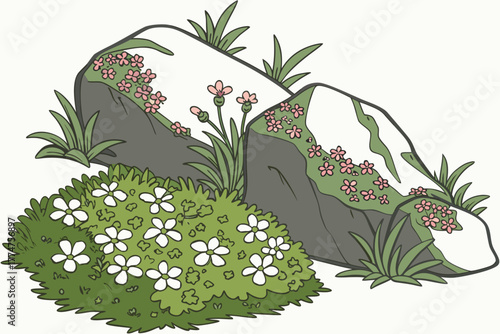 Moss campion and lichen covering stones in Denali National Park Alaska