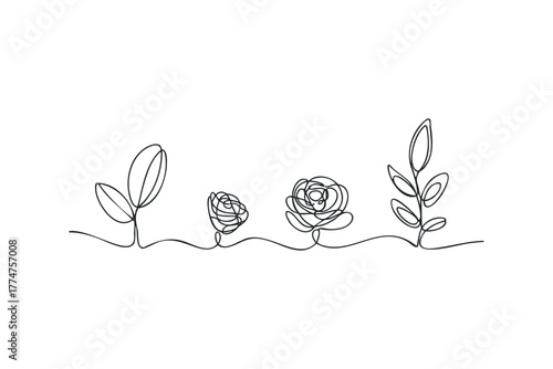 Single line drawing of a growing plant from sprout to bloom