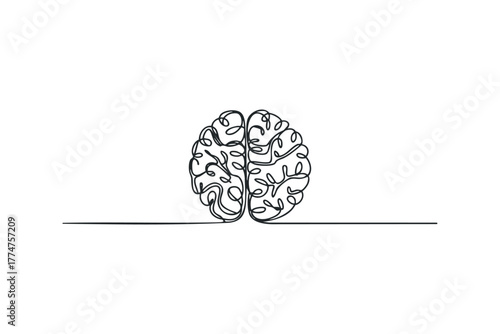 Continuous line drawing of human brain hemispheres