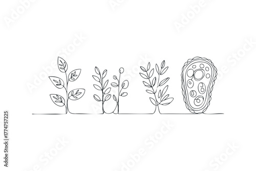 Continuous Line Drawing of Evolving Plant Life Forms