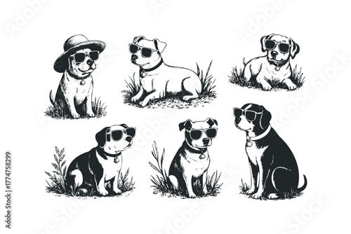 Six dogs wearing sunglasses and one wearing a hat