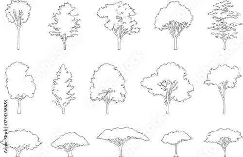 Minimal style cad tree line, Side view, set of graphics trees elements outline symbol for architecture and landscape design drawing. Vector illustration in stroke fill in white. 

