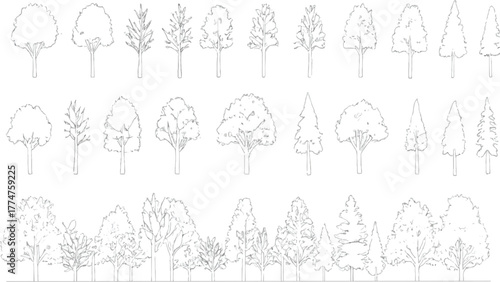 Minimal style cad tree line drawing, Side view, set of graphics trees elements outline symbol for architecture and landscape design drawing. Vector illustration. outdoor forest garden section