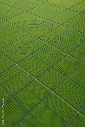 Aerial photograph of green agricultural fields with geometric patterns and irrigation circles.