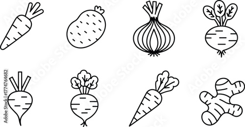 Black and white line art illustration of assorted root vegetables including carrot, potato, onion, beetroot, turnip,