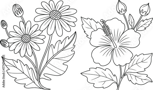 Black and white line art illustration of daisy and hibiscus flowers with leaves, floral outline drawing for coloring book and design