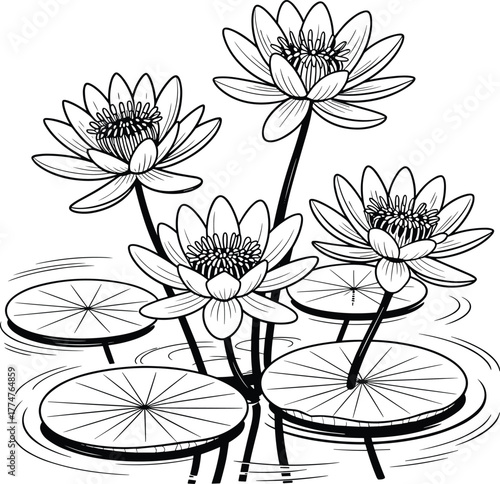 Black and white line art illustration of lotus flowers with lily pads on water, detailed floral drawing for coloring and design