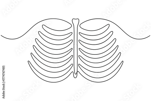 Human rib bone continuous one line drawing on white background minimalist anatomy cage outline vector illustration