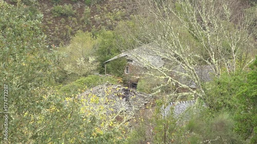 Old village barely surviving amid the overgrown mountain forest in the autumn of Galicia, Spain -1899
