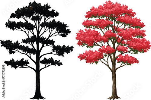 Silhouette tree with black foliage, detailed colored tree with red leaves, artistic contrast of nature, minimal design versus realism illustration