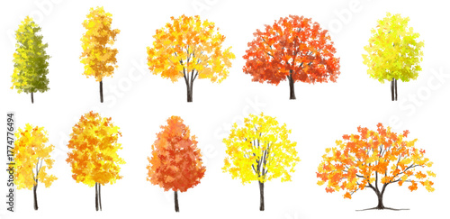 Vector watercolor illustration of a blooming flower tree or forest side view, ginkgo isolated on a white background, suitable for landscape and architecture drawing. The illustration includes elements