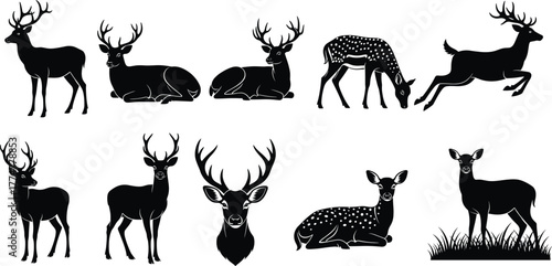 Deer silhouette vector set, black and white wildlife illustrations, antlered and fawn poses, forest animal clipart, grazing, sitting, leaping design