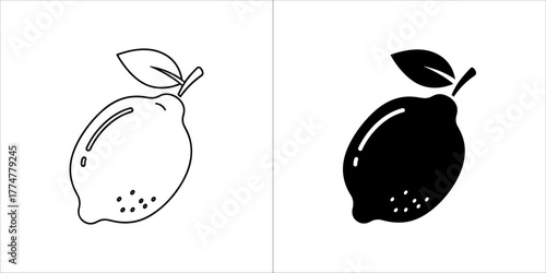 Outline and silhouette of a lemon with a leaf