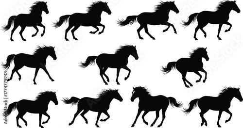 Horse silhouette vector, galloping poses, black running horses, dynamic motion icons, equine illustration for design, anatomy, education, farm, and animal content