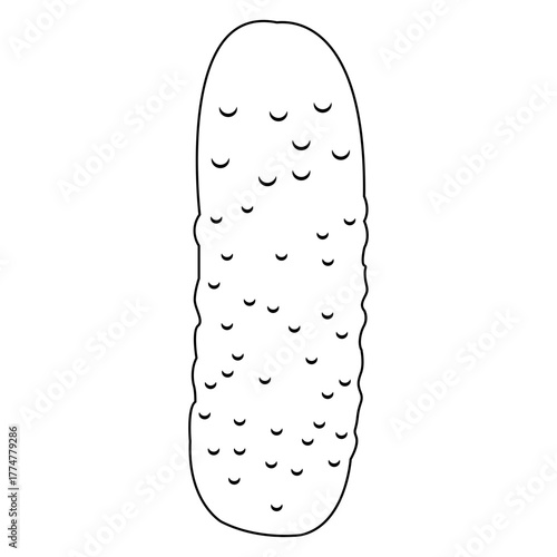 Green Pickle Cucumber Vegetable Vector Illustration for Food Grocery and Healthy Eating Design Concepts Isolated on White Background for Restaurant Menus and Packaging