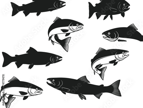 Salmon silhouette vector set, black and white fish illustrations, aquatic animal design, swimming poses, detailed anatomy clipart, freshwater wildlife icons