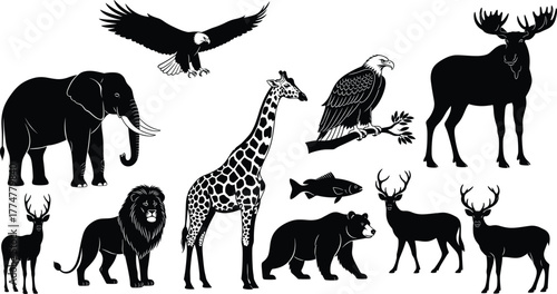Wild animal silhouette vector set, black and white nature icons, forest and savanna species, eagle, elephant, deer, bear, moose, giraffe