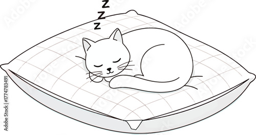  Minimalist Sleeping Cat on Patterned Pillow Icon- Home Comfort and Relaxation Minimalist cat sleeping icon in vector style, resting on a pillow to represent home comfort, cozy relaxation, and a peace