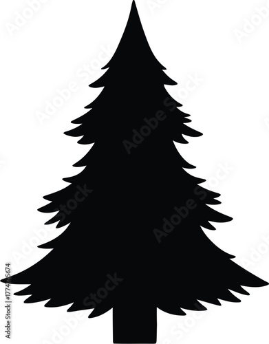 Black silhouette of a tall evergreen pine tree