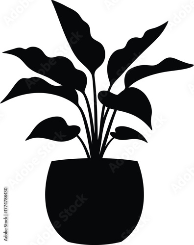 Silhouette of a lush houseplant in a round pot