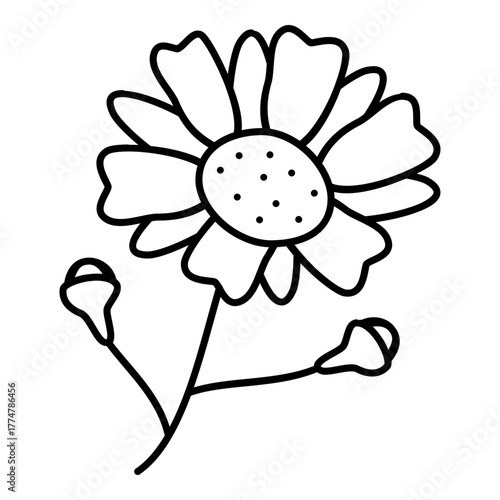 chamomile icon